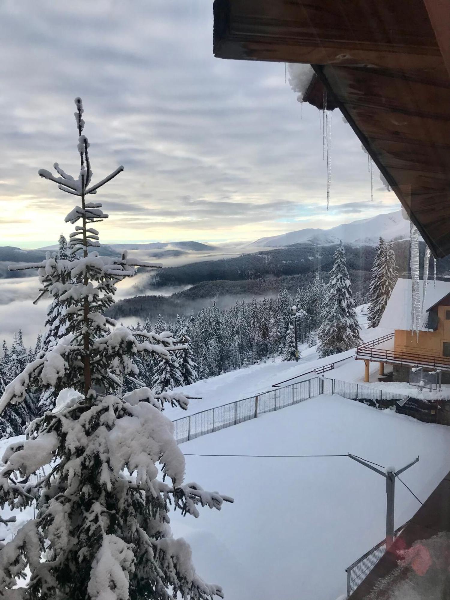 Casa De Vacanta Trei Brazi Rânca Exteriér fotografie